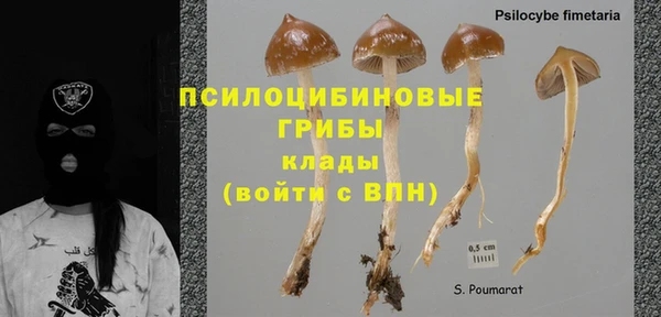 мдпв Горняк