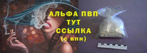 шишки Горно-Алтайск
