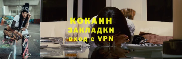 шишки Горно-Алтайск