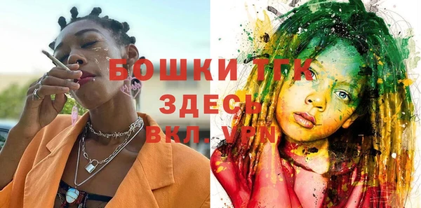 эйфоретик Горнозаводск