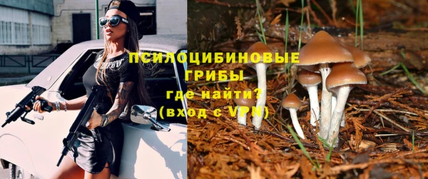 марки lsd Медногорск