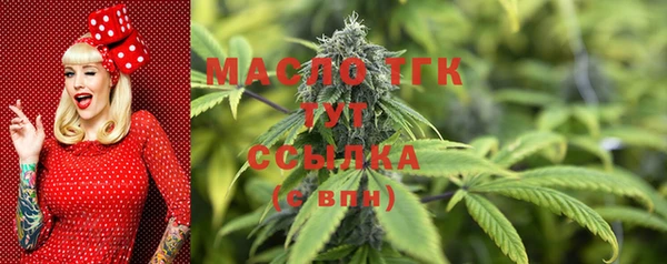 мдпв Горняк